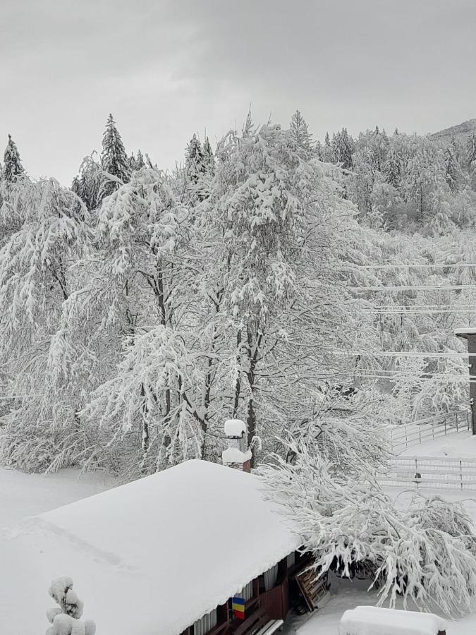 Pensiunea La Padure Cheia, Prahova Hotel Maneciu Bagian luar foto