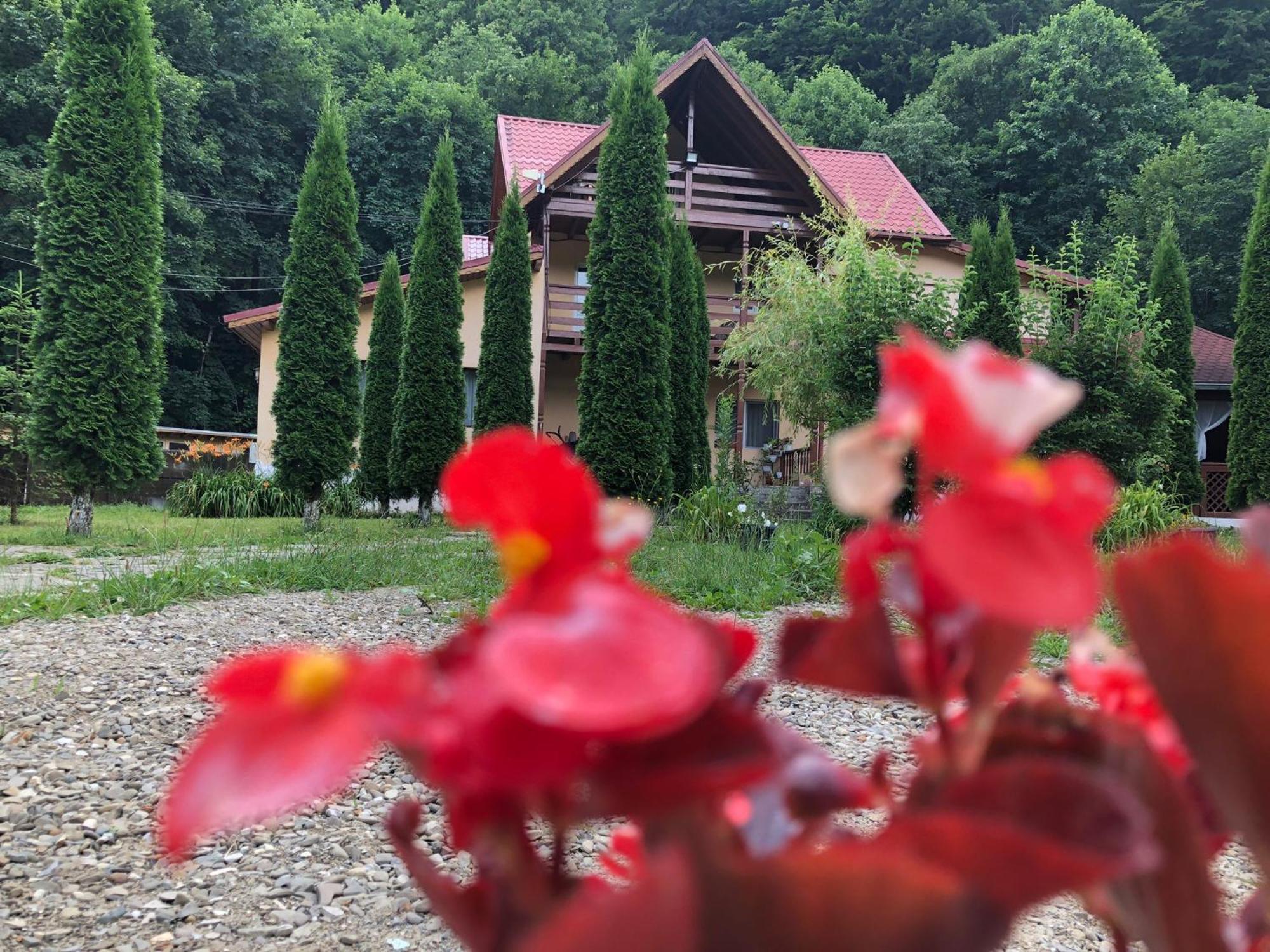 Pensiunea La Padure Cheia, Prahova Hotel Maneciu Bagian luar foto